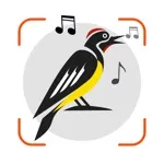 Bird Sounds Identifier Call ID