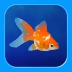 Goldfish – Aquarium Fish Tank