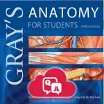 Gray’s Anatomy Audio Hot Spots