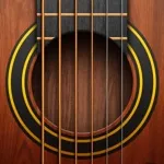 Guitar – Chords, Tabs & Games