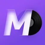 MD Vinyl – Widget & Player