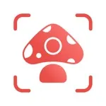 The icon of the true app