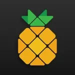 Pineapple – Website Builder