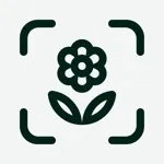 Planto: Plant Identifier