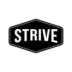 Strive Men’s Bible Study App