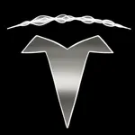 Teri – Watch App for Tesla