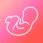 WeMoms – Pregnancy & Baby App